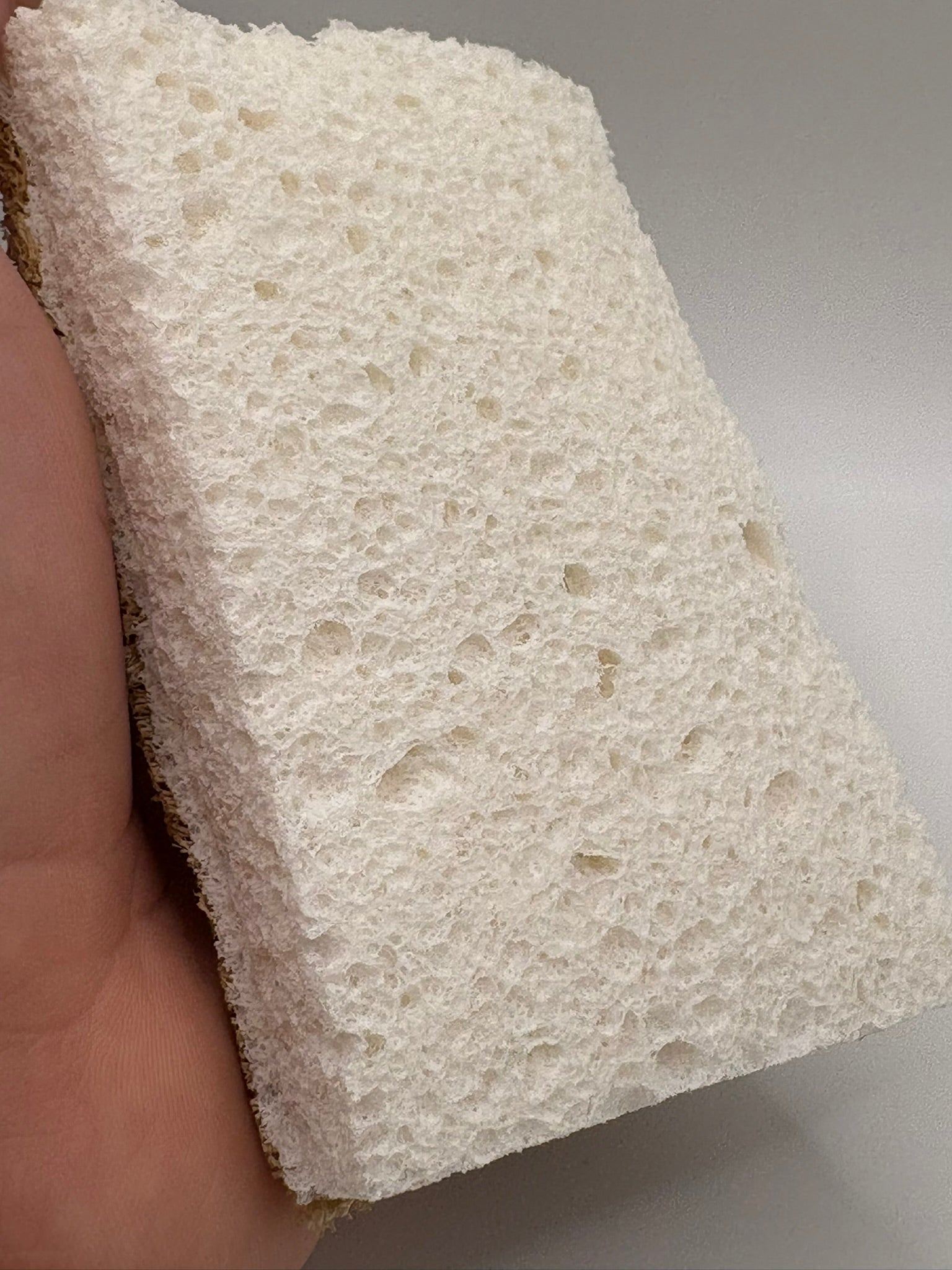 Loofah and Wood Cellulose Sponge